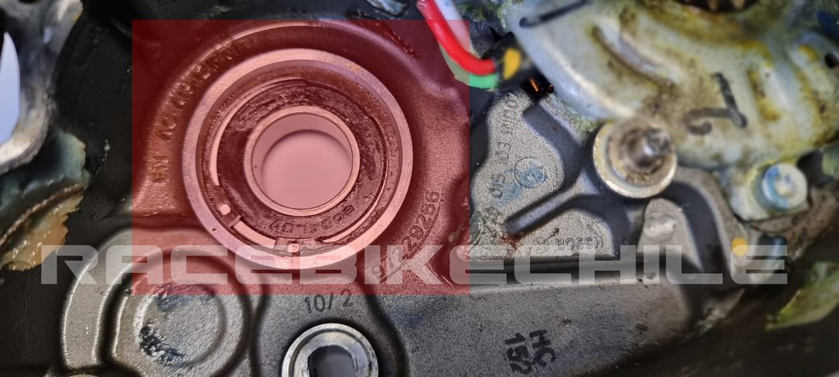 Nueva actualización del Bosch Performance Line CX: ¿es el fin de los Nueva actualización del Bosch Performance Line CX: ¿es el fin de los