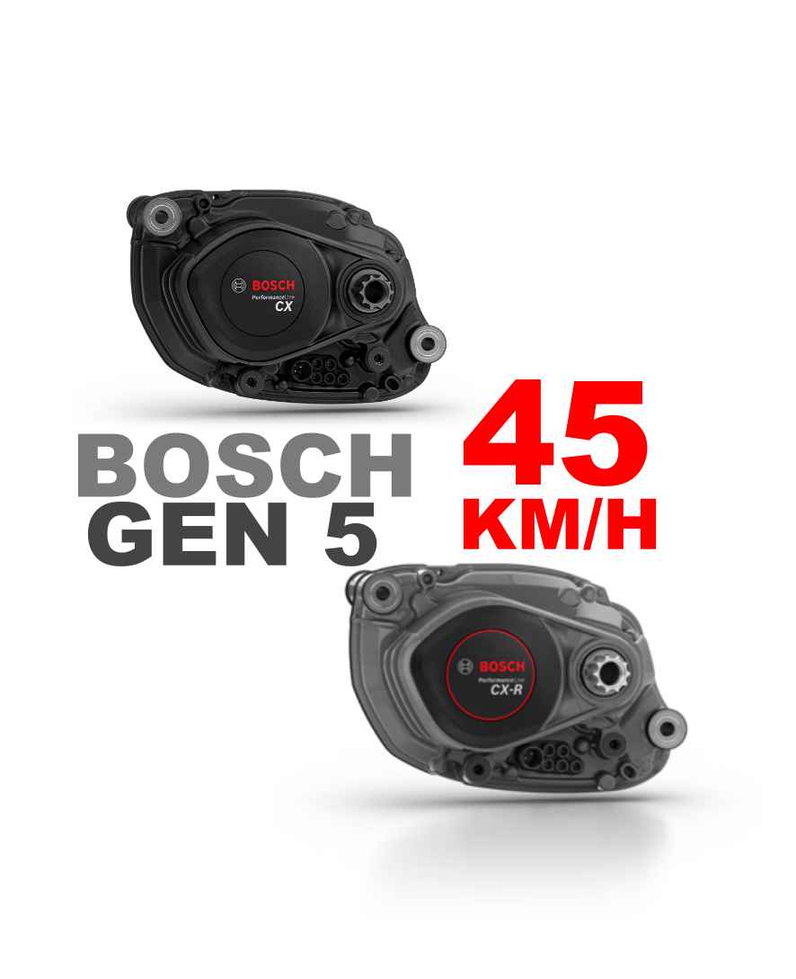 Servicio Deslimitacion Velocidad BOSCH SMART SYSTEM GEN4 GEN5 SX