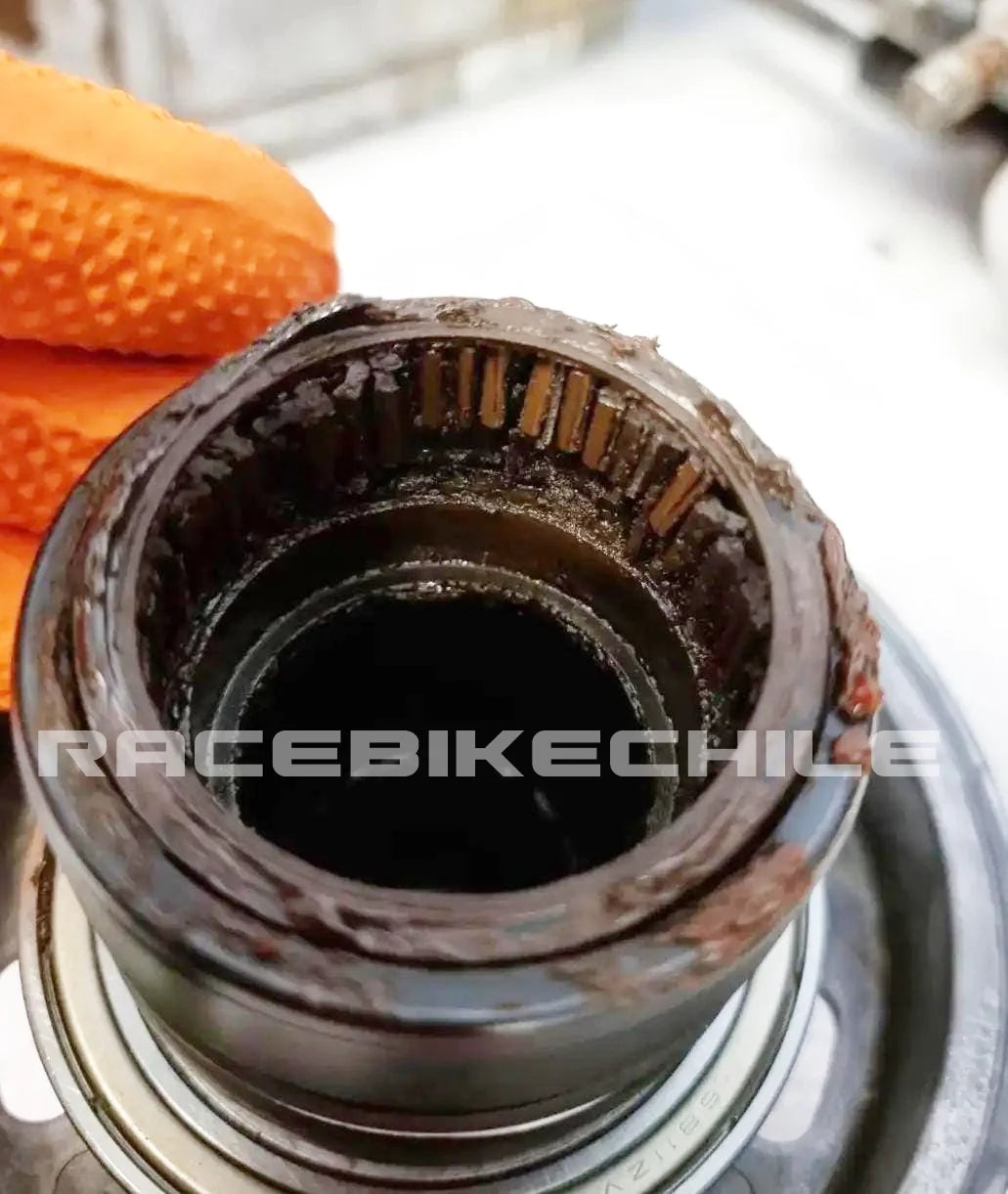 Capacitacion Presencial EBIKE  -  BROSE / BOSCH / SHIMANO  by RaceBike 17, 18 y 19 de NOVIEMBRE  2026