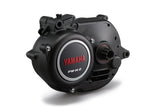 Mantenimiento Mantencion  preventivo Motor Yamaha Series PW - SyncDrive